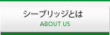 シー・ブリッジとは へのリンク