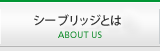 シーブリッジとは　へのリンク